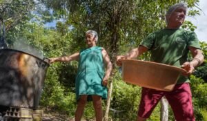 pan-amazônia: mulher e homem de avental e touca manipulam caldeirão em floresta.