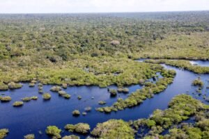 Vista aérea da floresta amazônica margeada por um rio de águas escuras.
