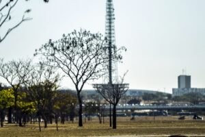 previsão do tempo: gramado seco com árvores sem folhas e uma torre de telecomunicações ao fundo em Brasília.