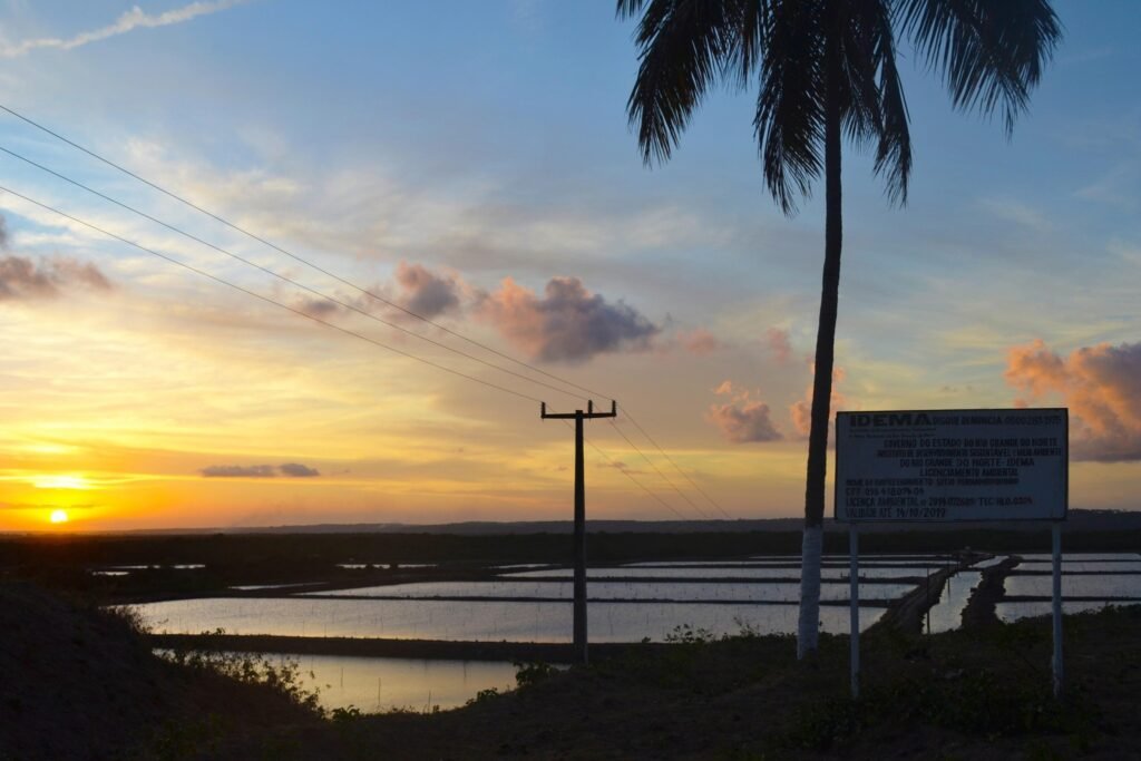 licenciamento ambiental: paisagem com viveiros de camarão e placa do órgão ambiental ao pôr do sol