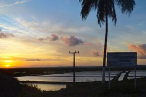 licenciamento ambiental: paisagem com viveiros de camarão e placa do órgão ambiental ao pôr do sol