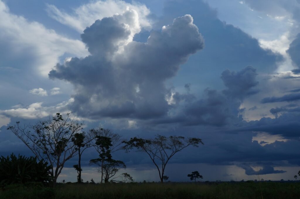 canal de umidade: grande nuvem de tempestade escura sob céu azul com silhuetas de árvores ao fundo.
