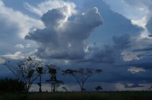 canal de umidade: grande nuvem de tempestade escura sob céu azul com silhuetas de árvores ao fundo.