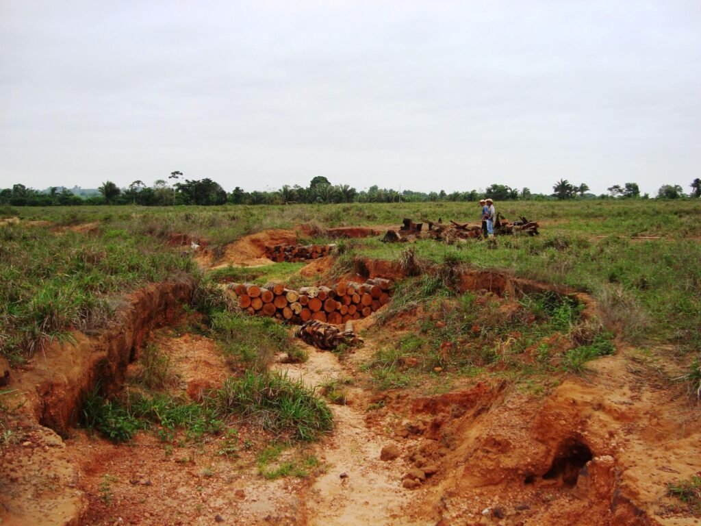 queda do desmatamento: paisagem de solo degradado e voçorocas no bioma amazônico.