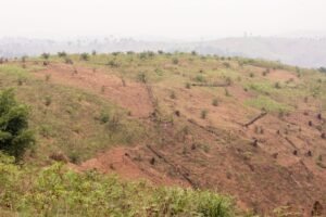 desmatamento: paisagem em plano aberto de encosta com solo exposto e vegetação rasteira esparsa sob céu nublado